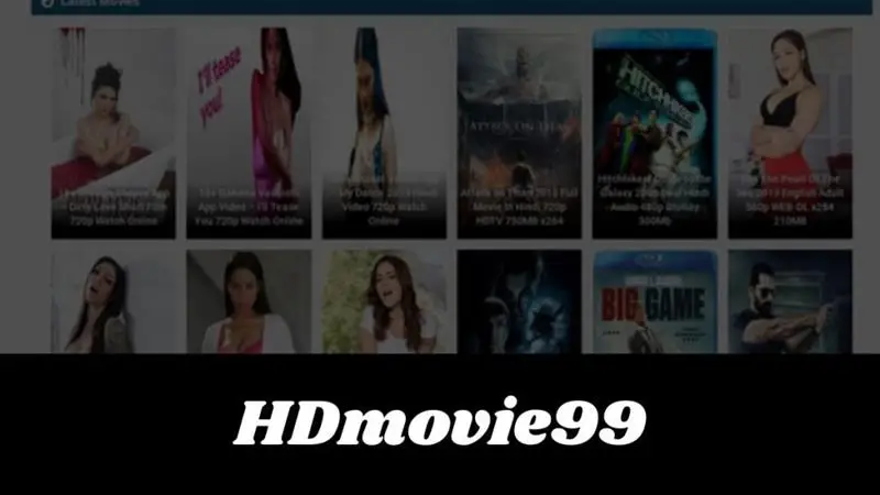 hdmovie99.com